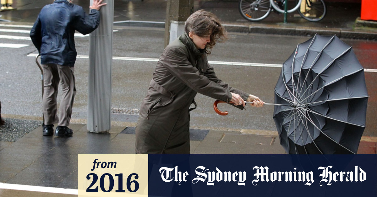 Wild and windy weather in store for NSW on Wednesday
